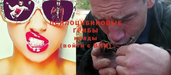 ECSTASY Алексин