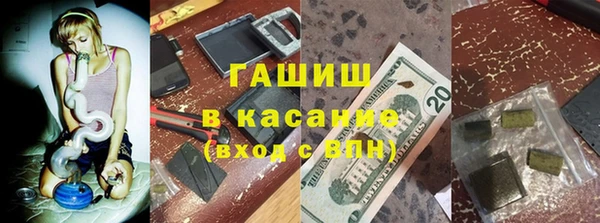 стаф Арсеньев