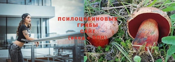 стаф Арсеньев